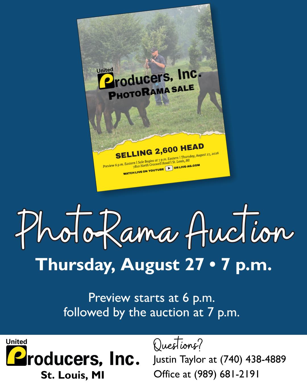 United Producers PhotoRama auction sells 2600 head in St Louis
