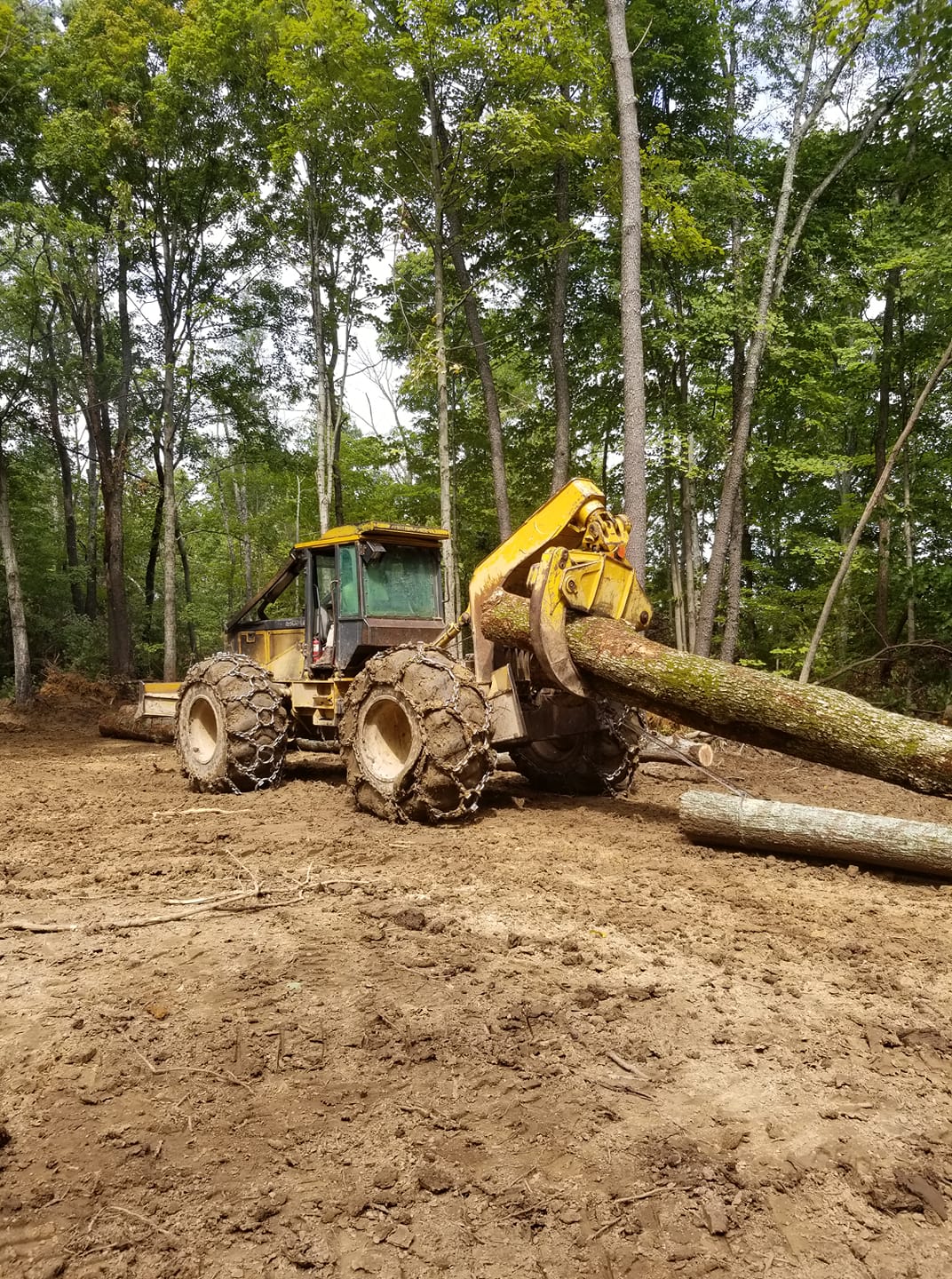 Yoder Logging | Columbia KY