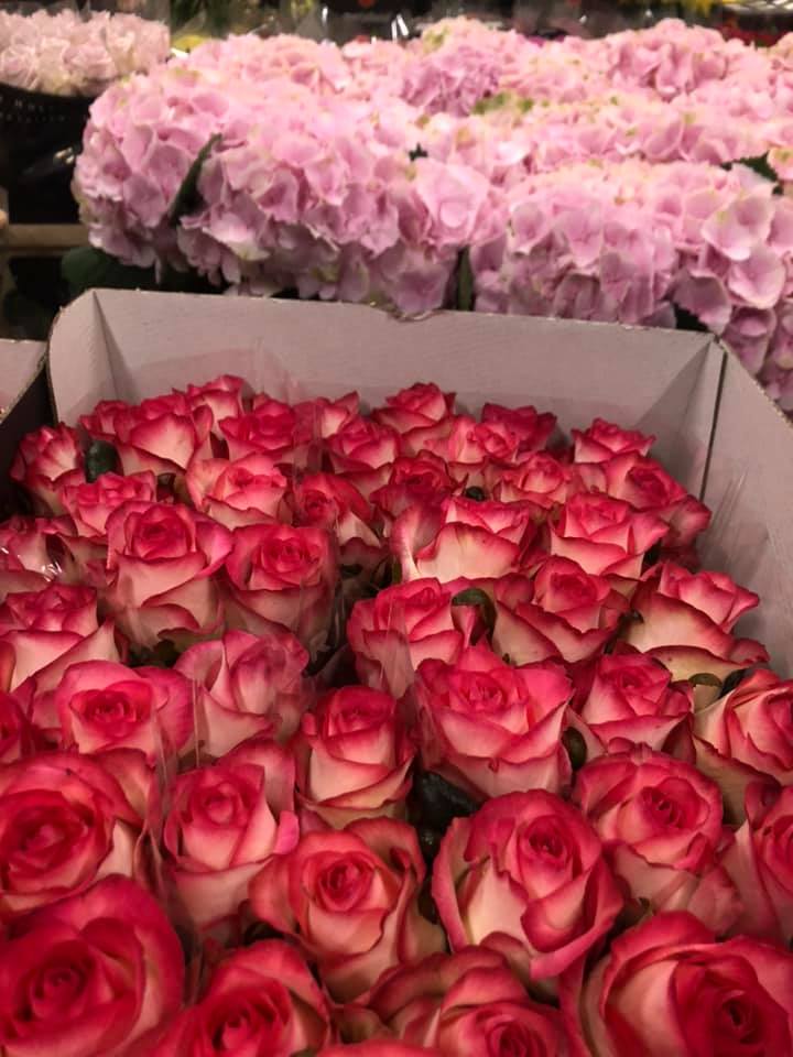 Flora Express