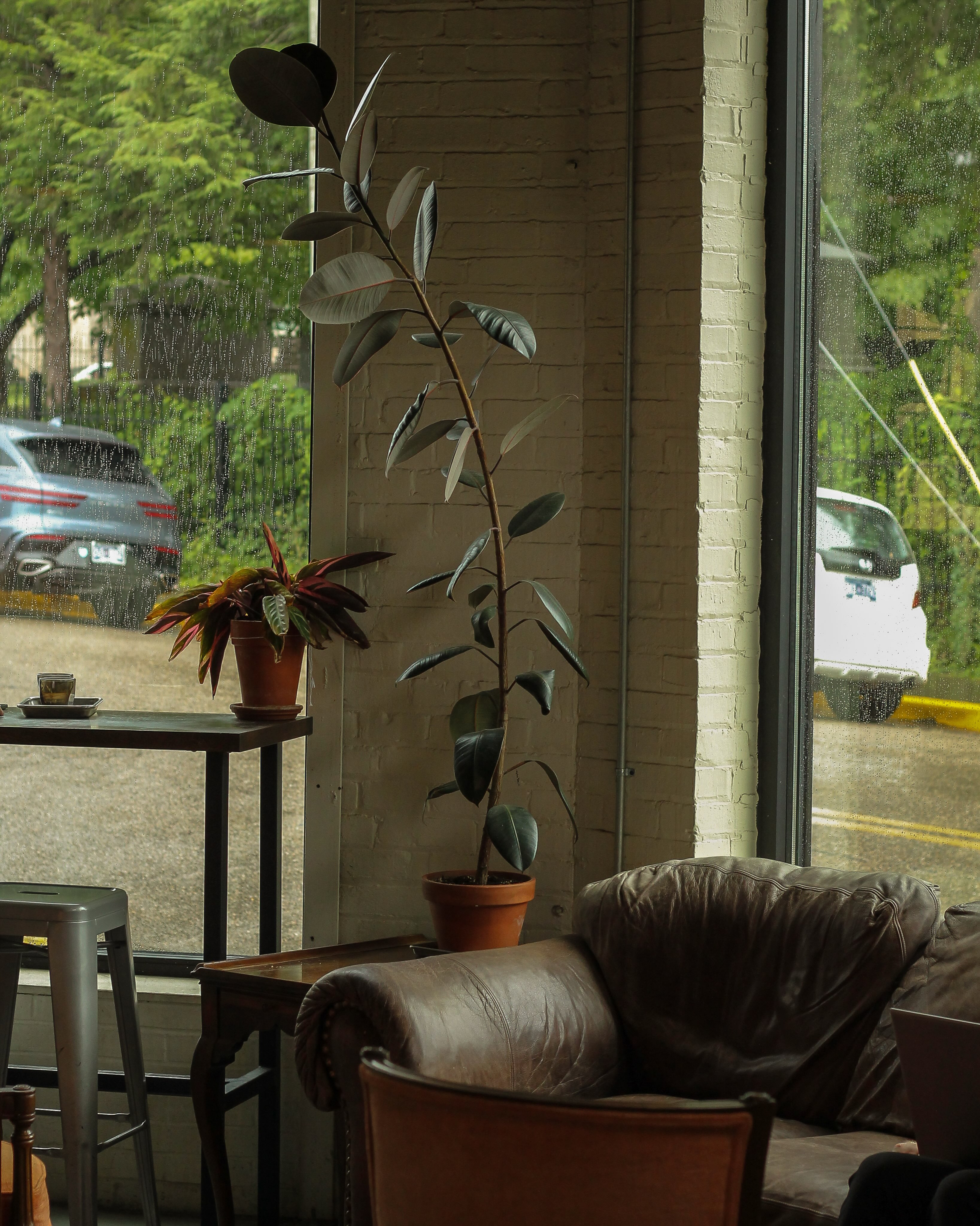 Remedy Coffee | Knoxville TN