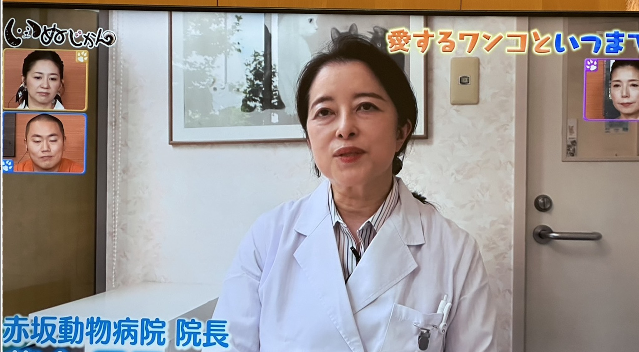 活動歴および当時の関連ビジュアル記録