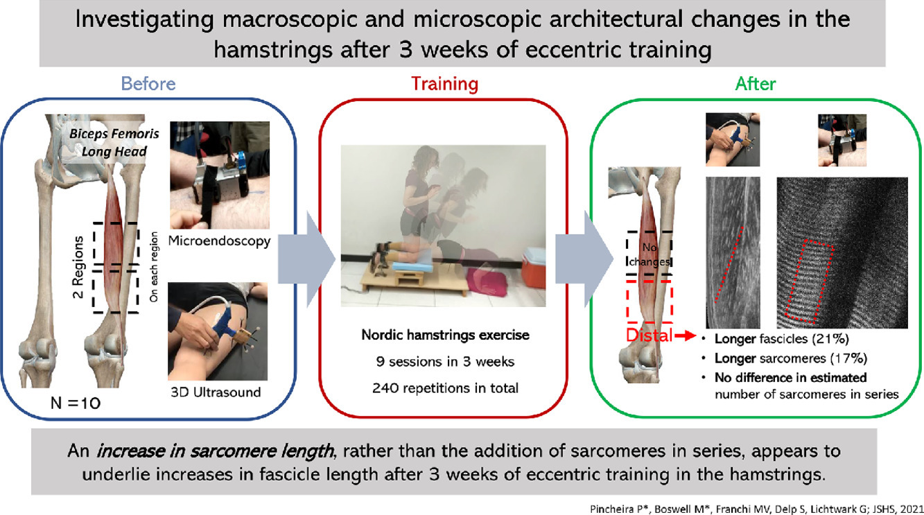 Journal of Sport and Health Science
