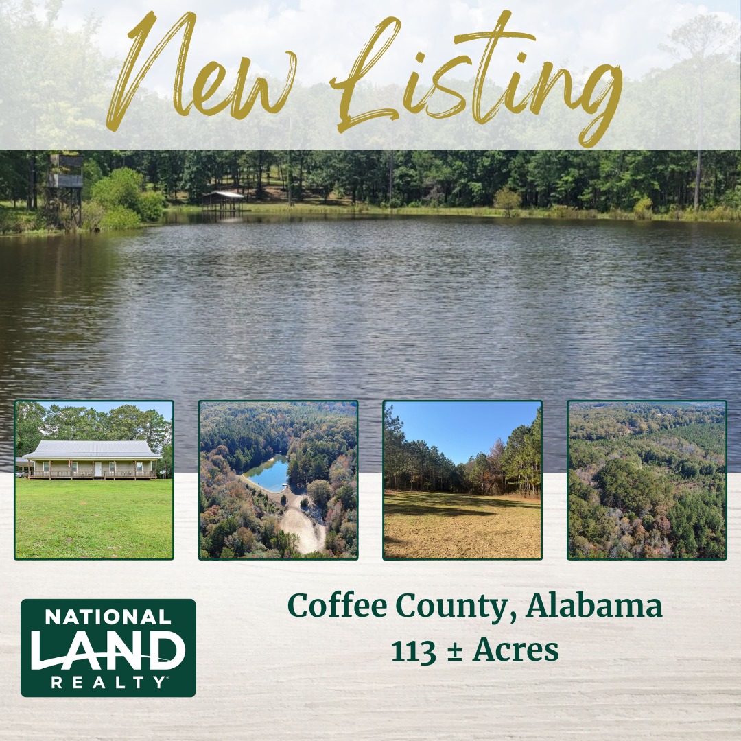 🌟 NEW LISTING! 🌟 Your ideal blend... - Alabama Land for Sale | Facebook