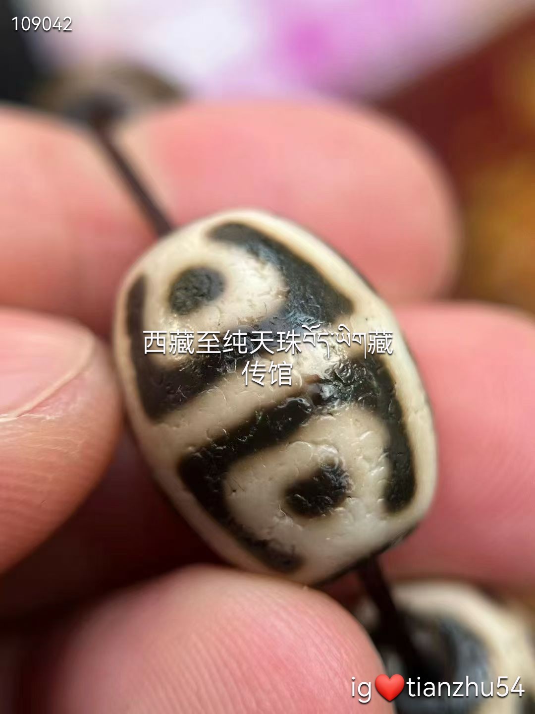 揭秘✨超吸眼的天珠，到底有啥魅力莲花达洛天珠，20*15.5 #五行#水晶