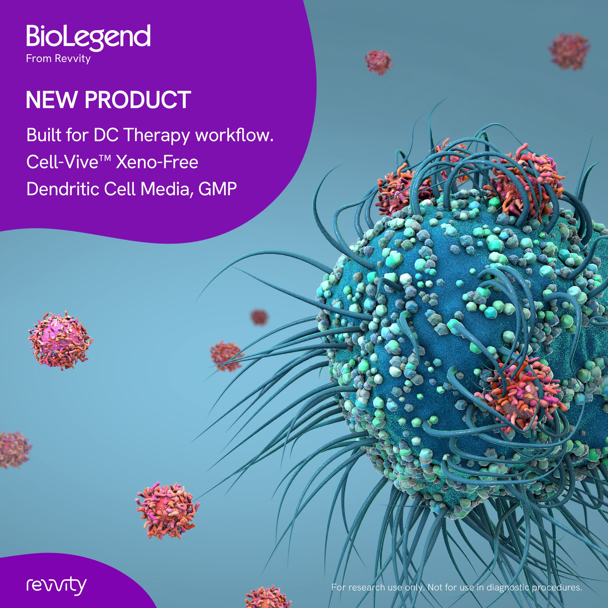 Introducing Cell-Vive™ Xeno-Free Dendritic Cell Media, GMP: no serum, no antibiotics, no compromise. Optimized for PBMC-to-DC differentiation with GMP-grade reliability. Explore the difference. http://ms.spr.ly/6180a6tyj