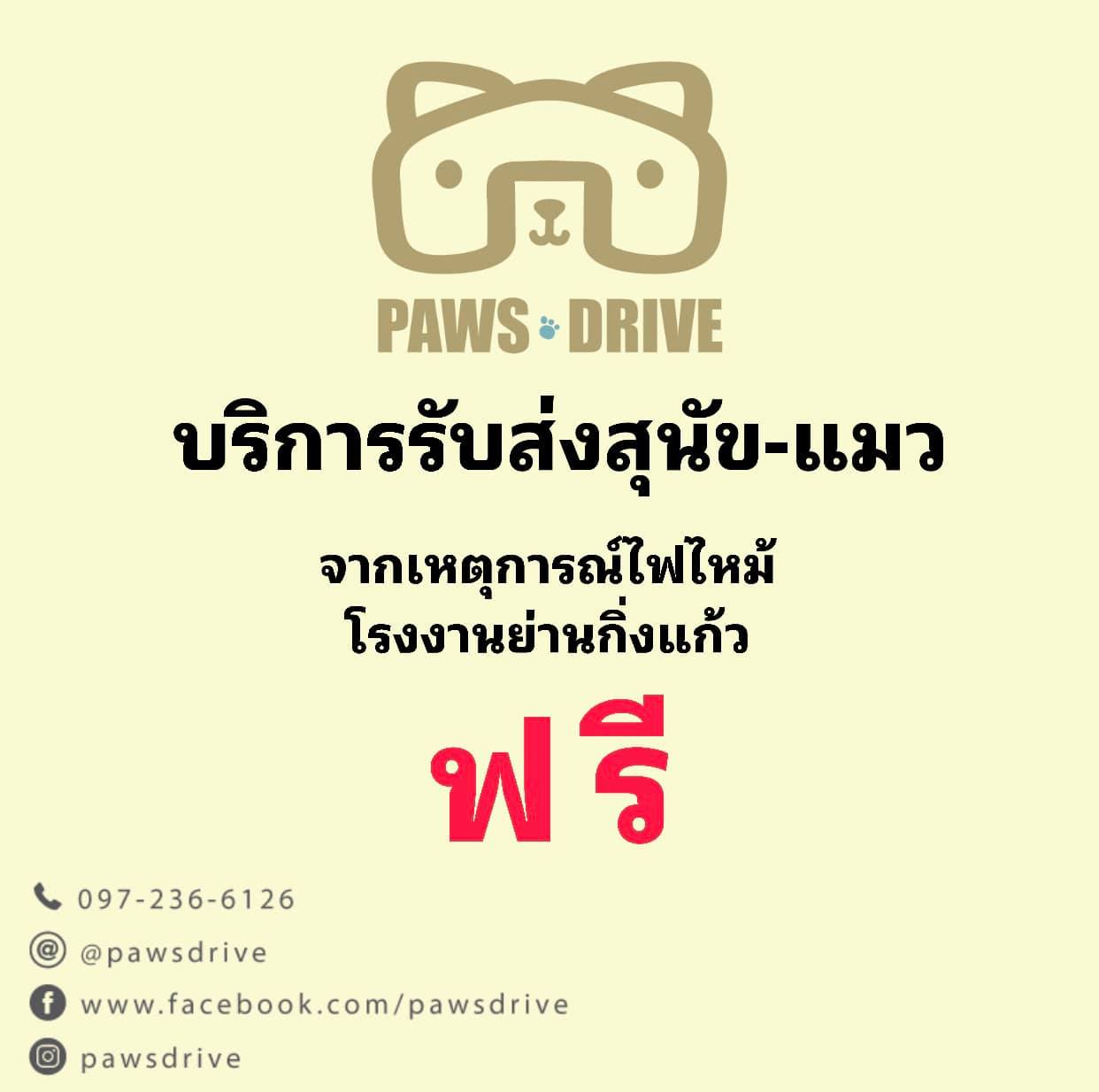 PAWS DRIVE - Paws🐾Drive ขอเป็นส่วนหนึ่งในการช่วยเหลือ ติดต่อสอบถามได้ ...