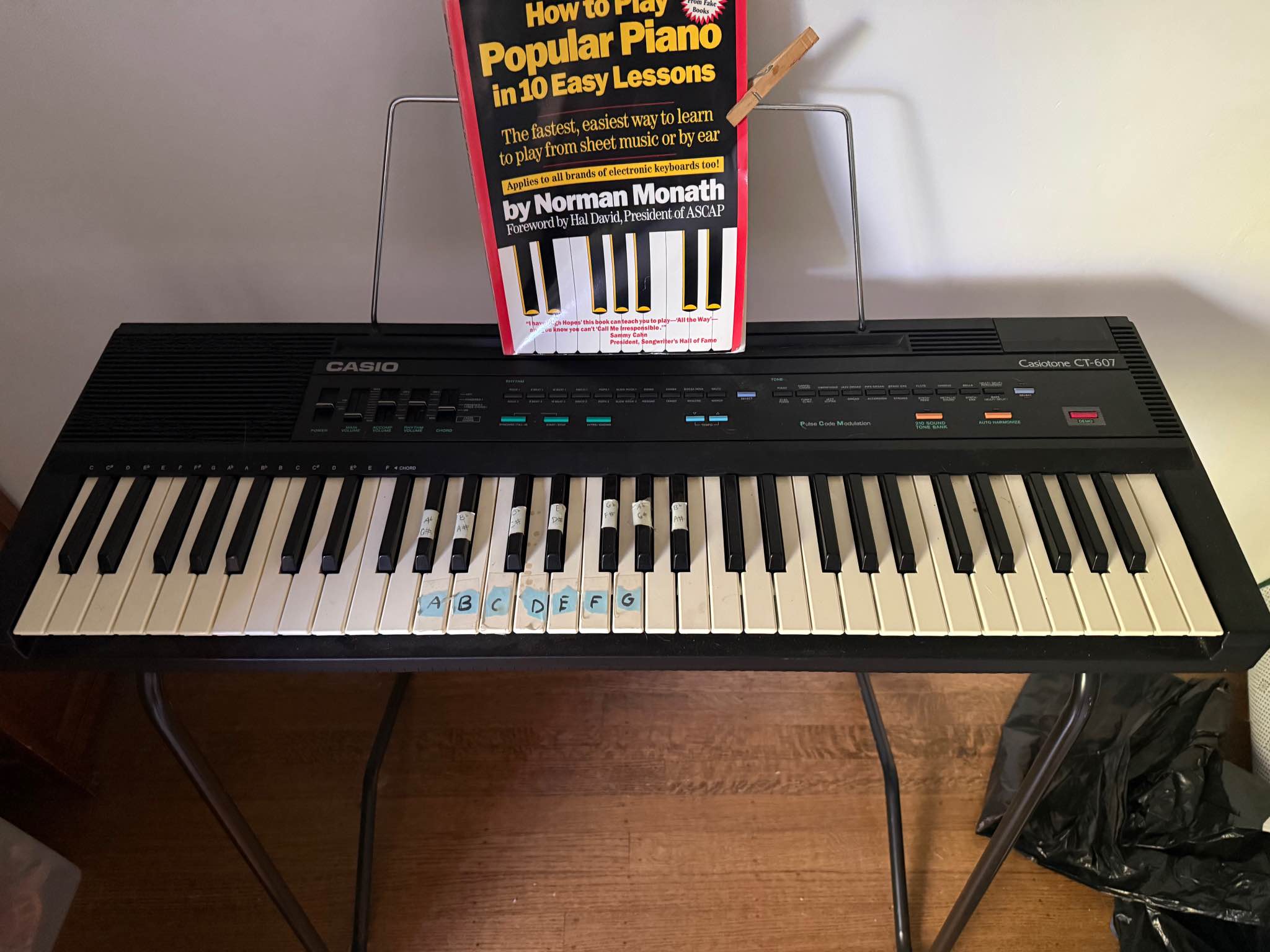 Casio Casiotone CT-607 Electronic Keyboard with Stand and Book