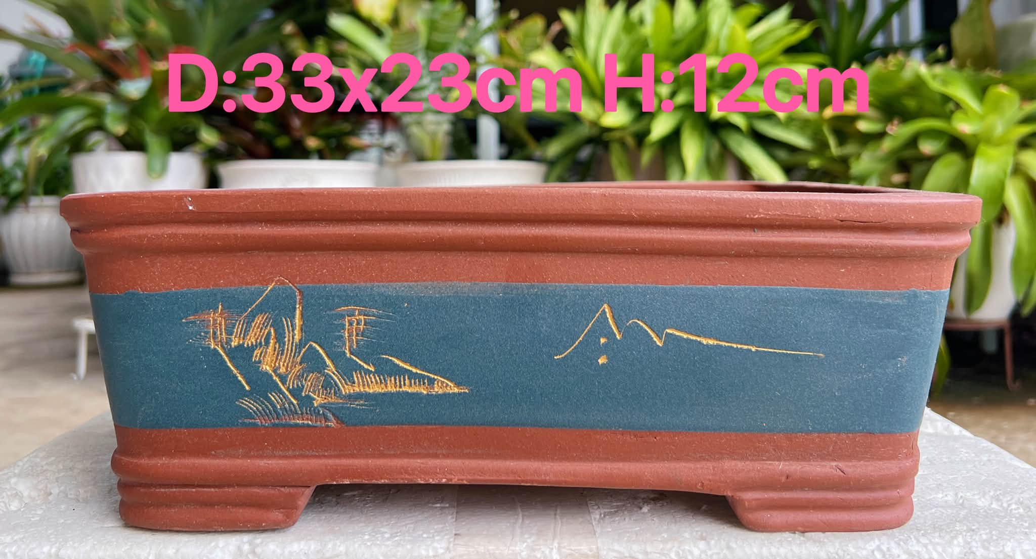 只有一个长方形紫砂马槽盆，size看图说话，rm65for1，种盆栽🪴种树种