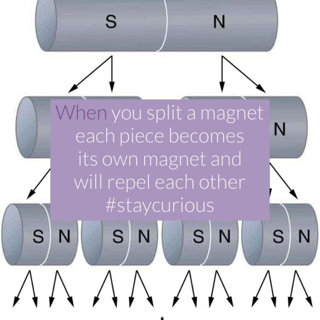 Curionic - When you split a magnet each piece becomes its own magnet ...