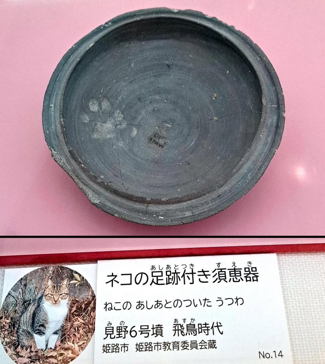 日本陶器七十年史 (1974年) Tough luck, Cookie.