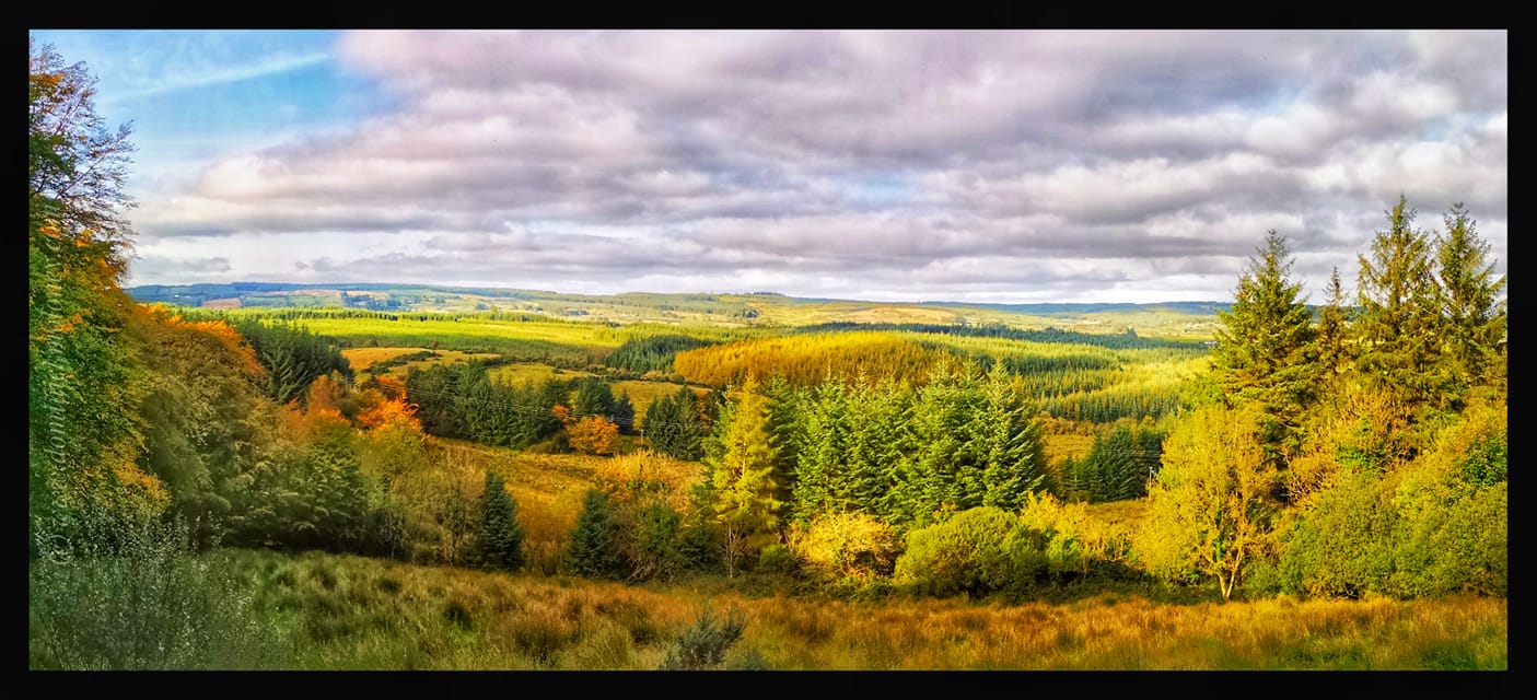 Limerick in autumn... - Discover Limerick, Travel Guide