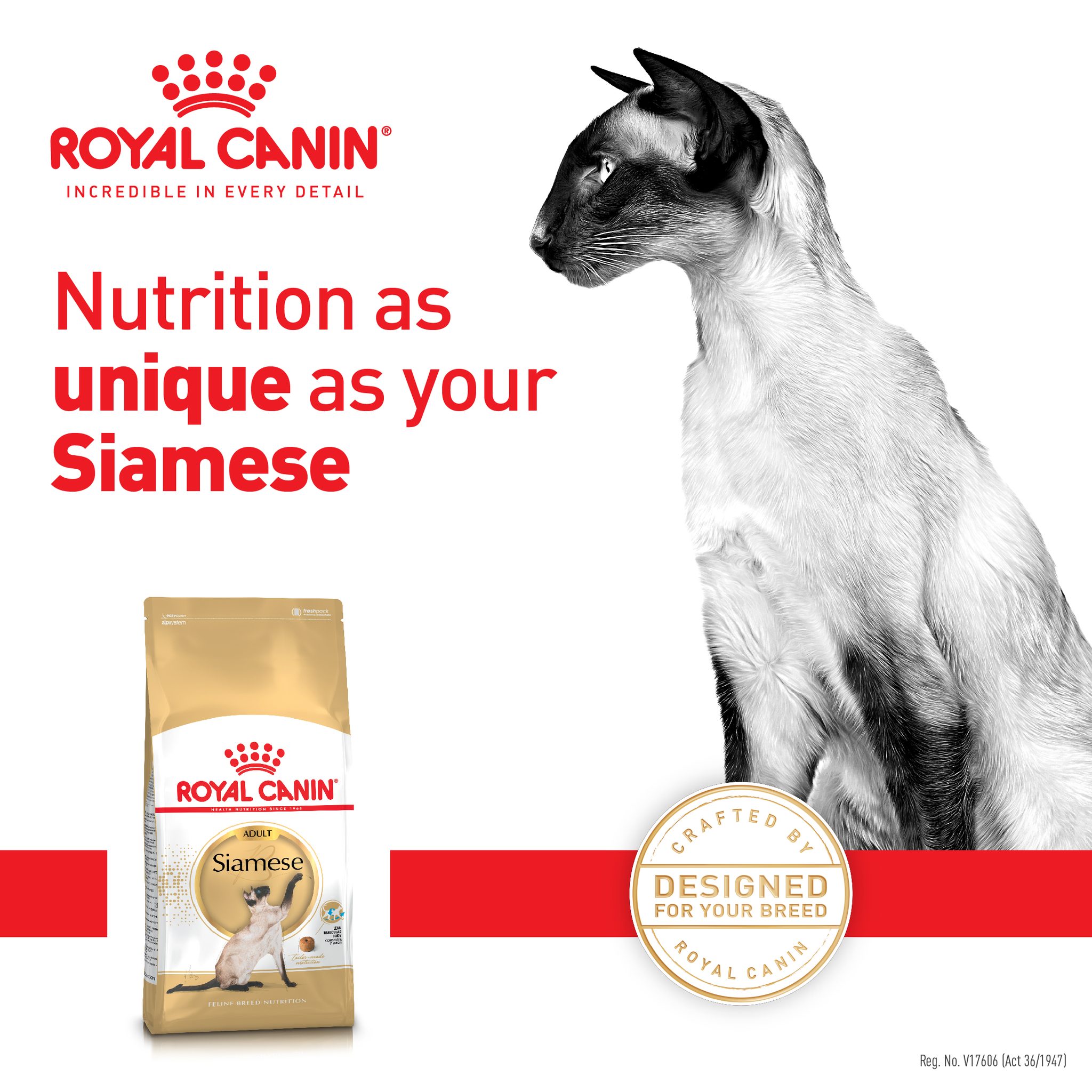 l carnitine for cats dosage Royal Canin Siamese adult cat food lean and muscular body Thorne Theanine face serum for uneven skin tone Size:BOGO | 50g x 2