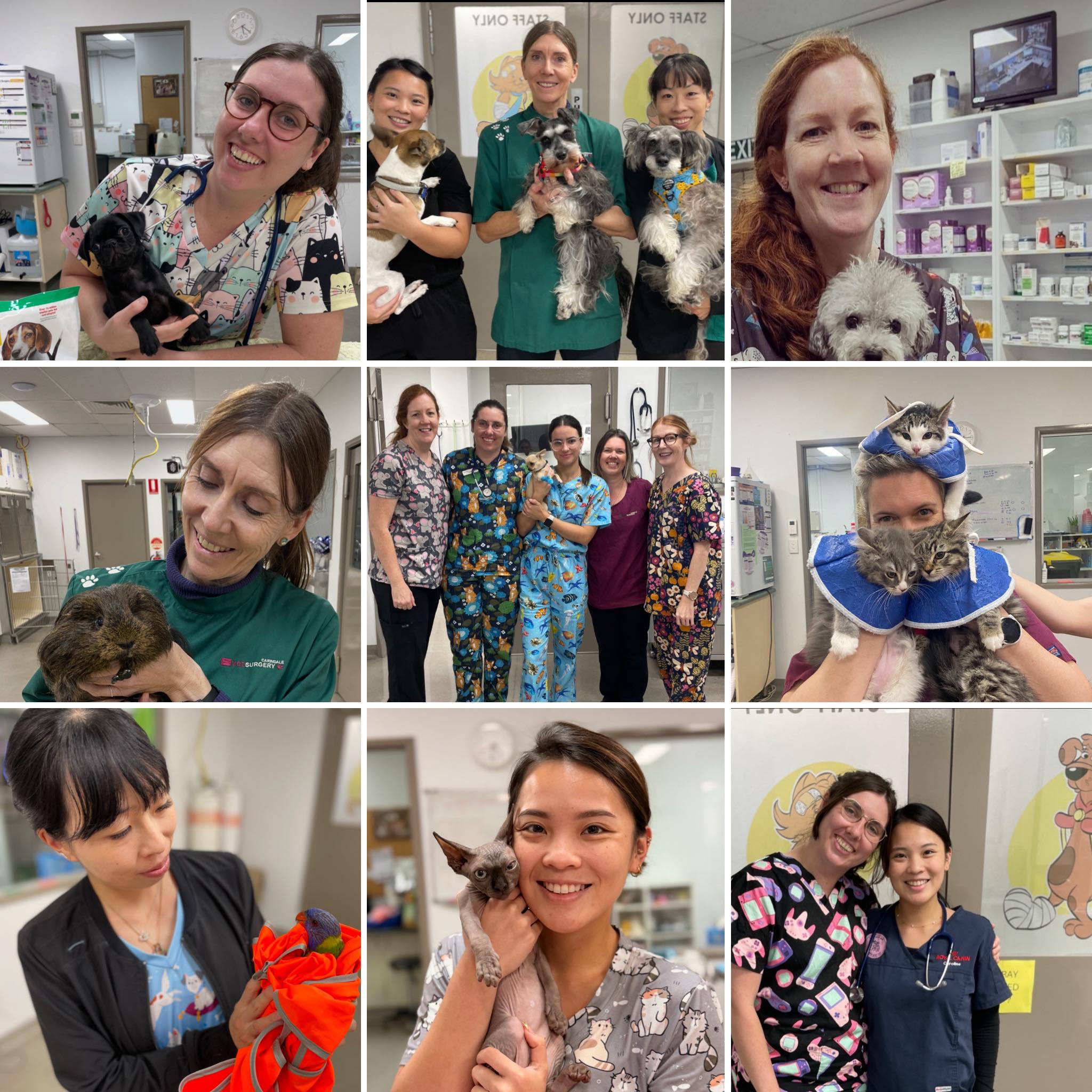 ‘Vet Nurses’, because “badass”... - Carindale Vet Surgery | Facebook