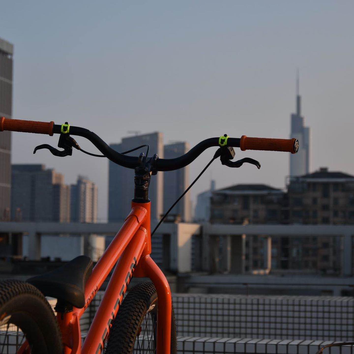 EXTENTION Edith in the afterglow of sunset #streettrial 