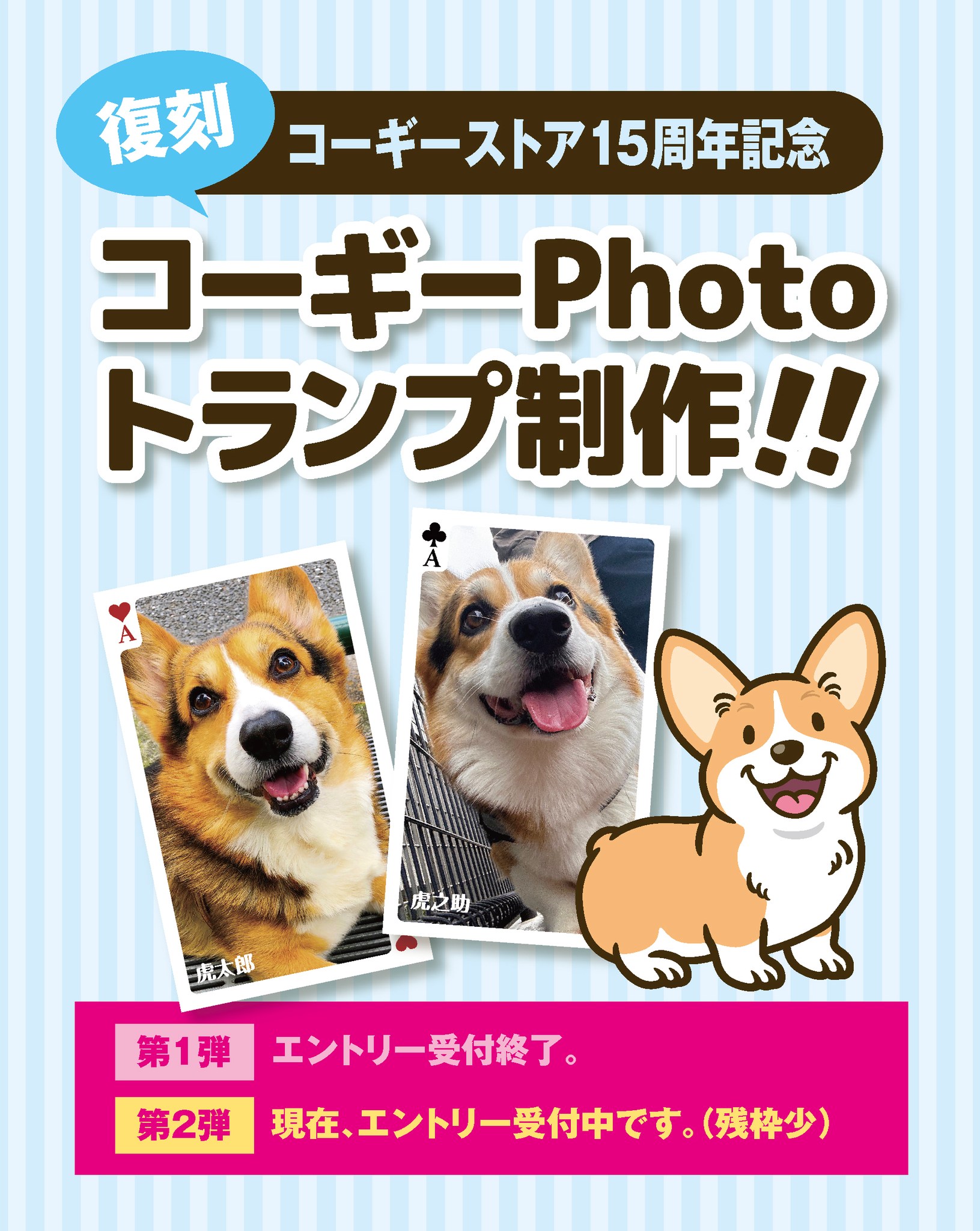 お買い物コーギー❣️ Corgi Store／コーギーストア［コーギーグッズ専門ストア