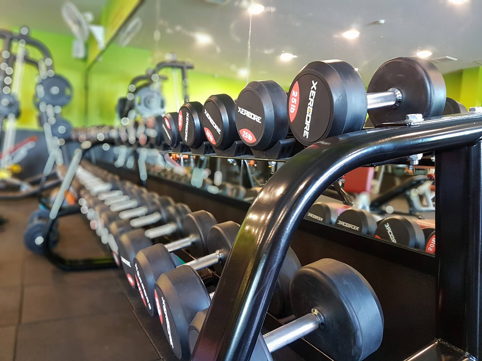 Phoenix FIT GYM - 🎄🎊สวัสดีปีใหม่ ปี 2561🎊🎄 #PHOENIXFITGYM...