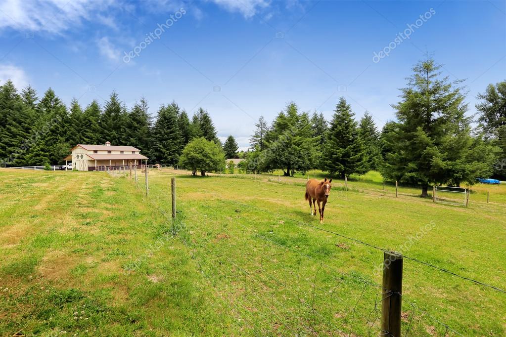 COMPRA VENDA - IMOVEL RURAL - RANCHOS-SITIO-FAZENDAS | Facebook