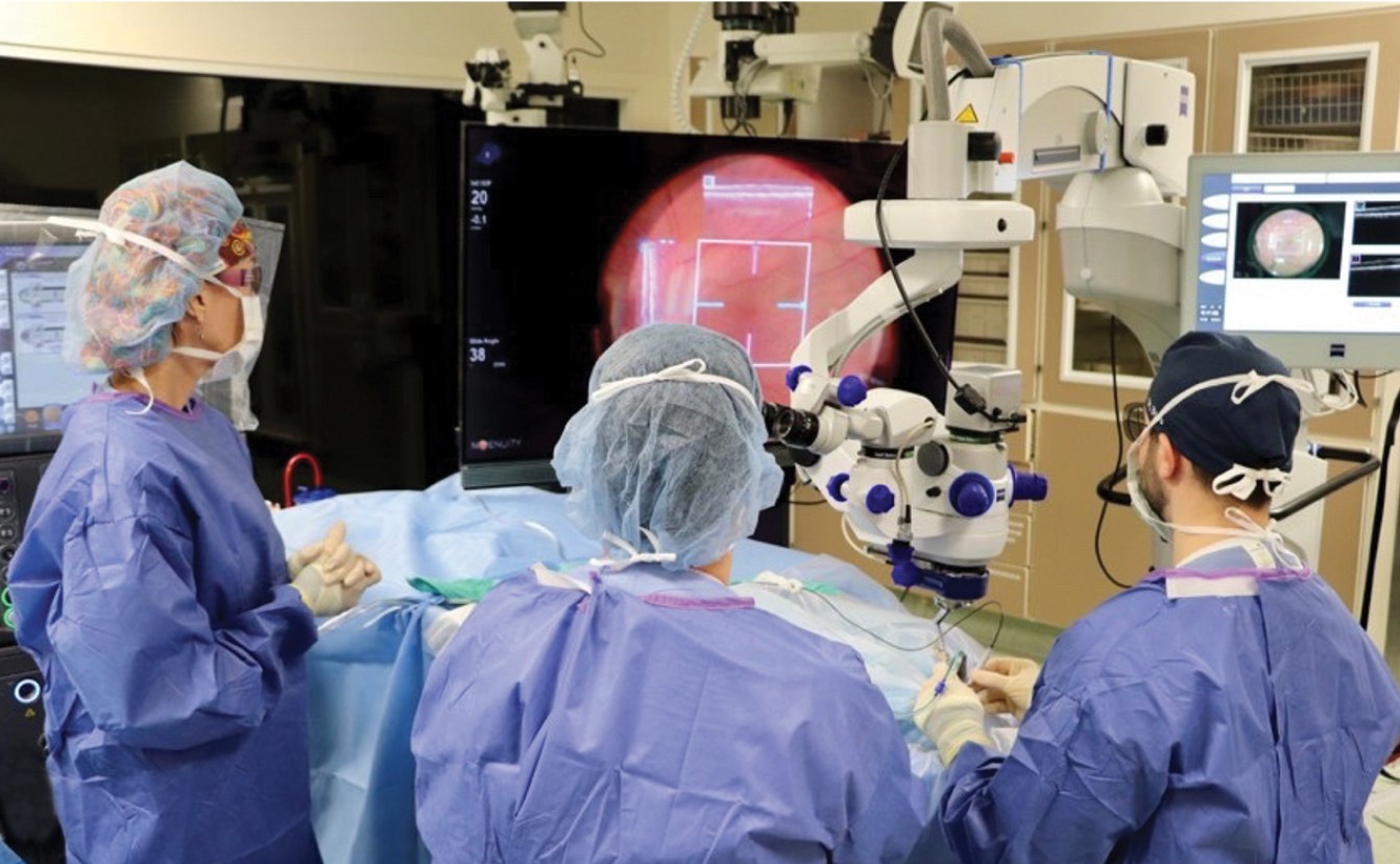 3D digital viewing systems are... - Retinal Physician | Facebook