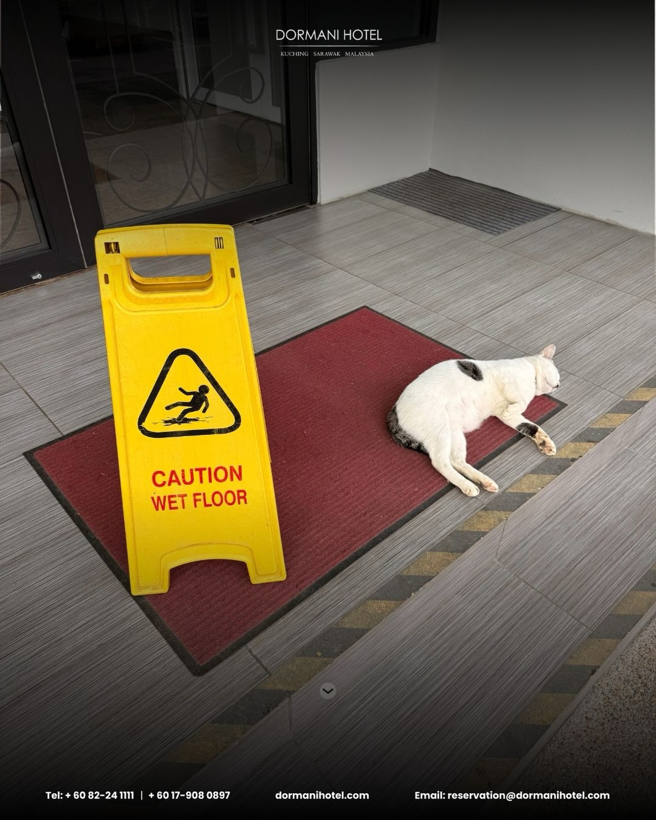 Dormani - The consequences of ignoring the wet floor sign. You don’t ...