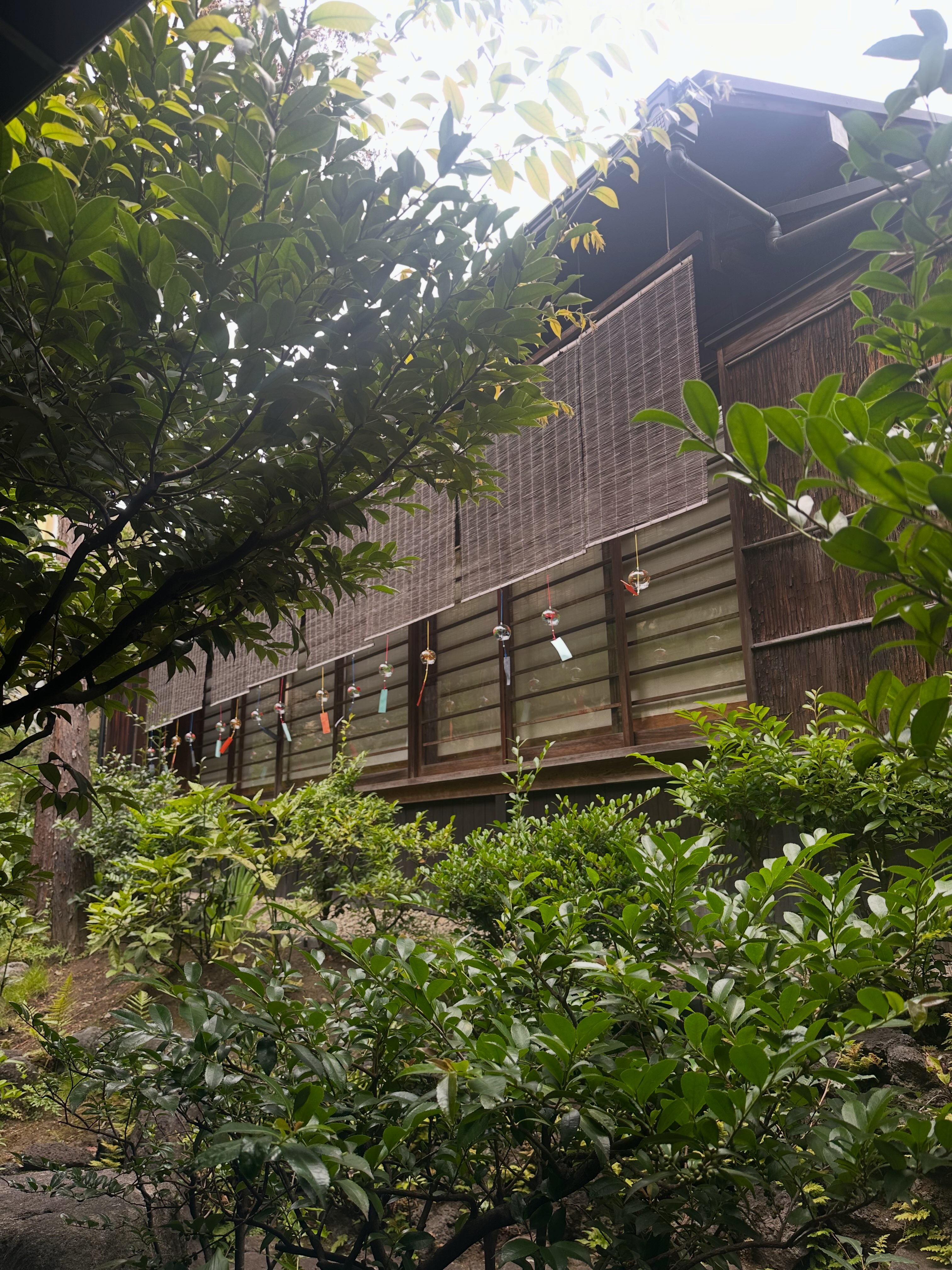 三具足 裏千家 茶道 お稽古 和文化 平成23年度冬季許状式 - 茶道 裏
