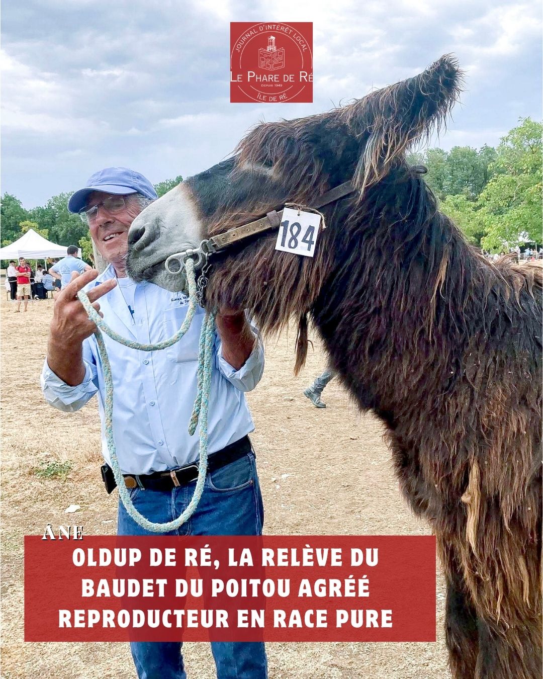 Âne ] À deux ans, le protégé de Régis Léau vient d'être agréé à l