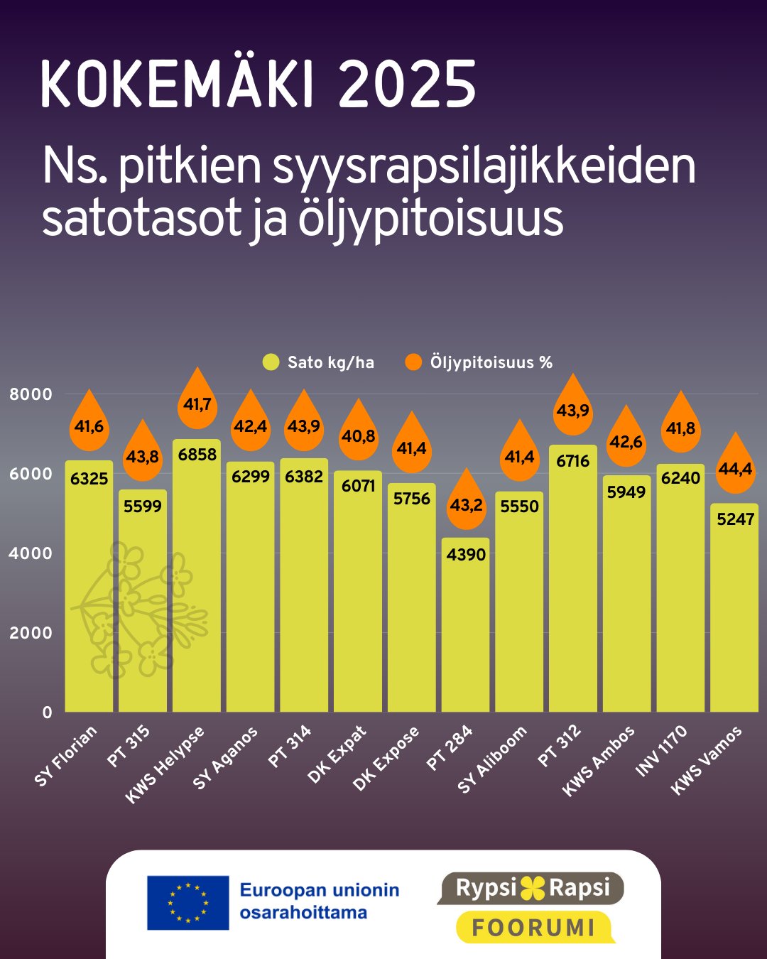 rypsirapsi-foorumi