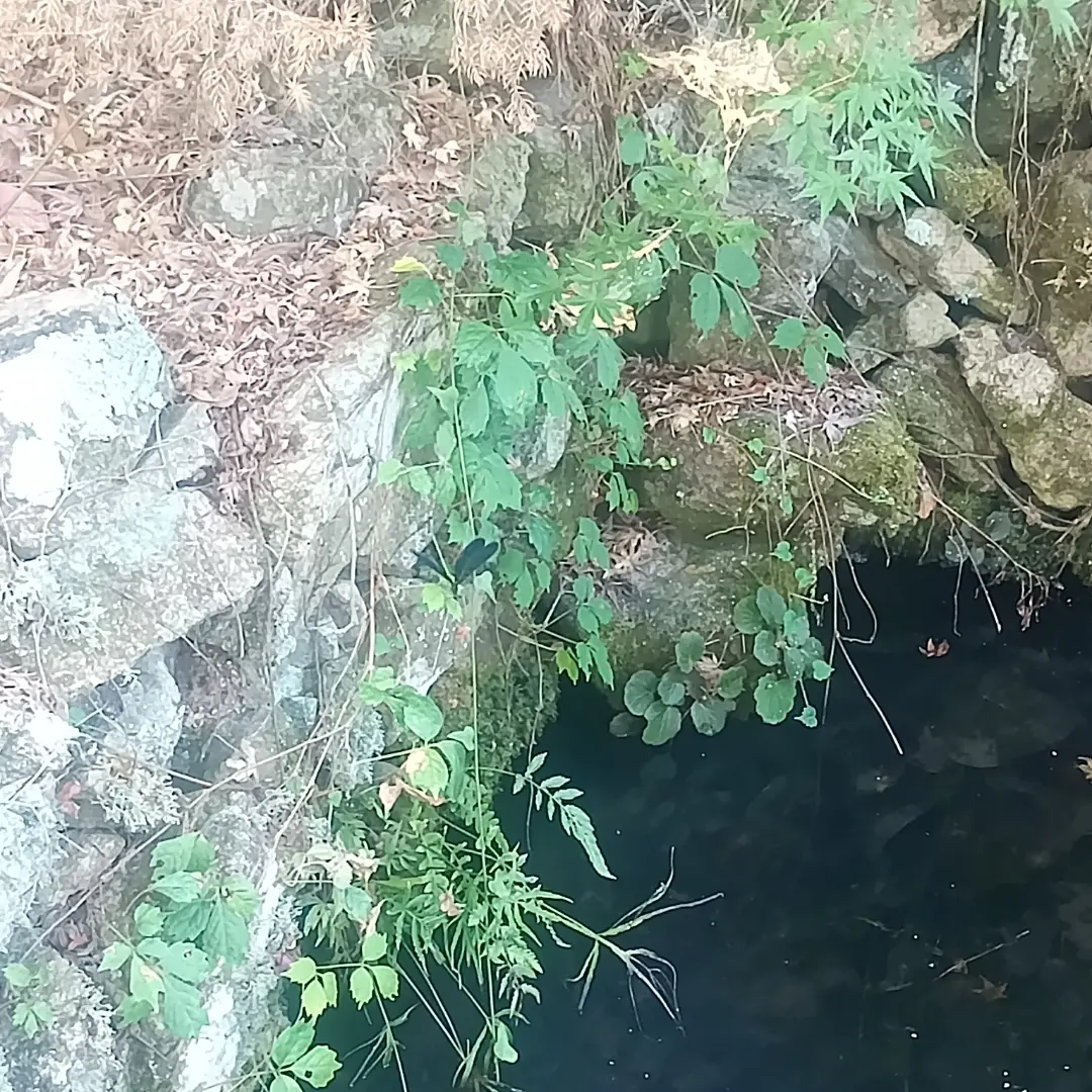 きき つ ち