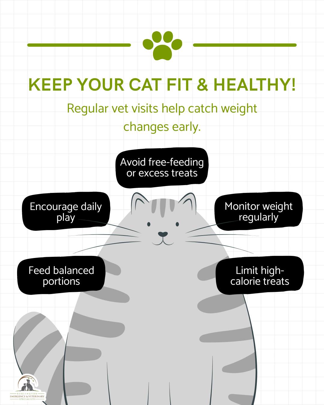 Keep your cat fit and healthy! Regular vet checkups help catch weight changes early so you can prevent obesity and related health issues. 🐈🩺 #CatHealthMonth