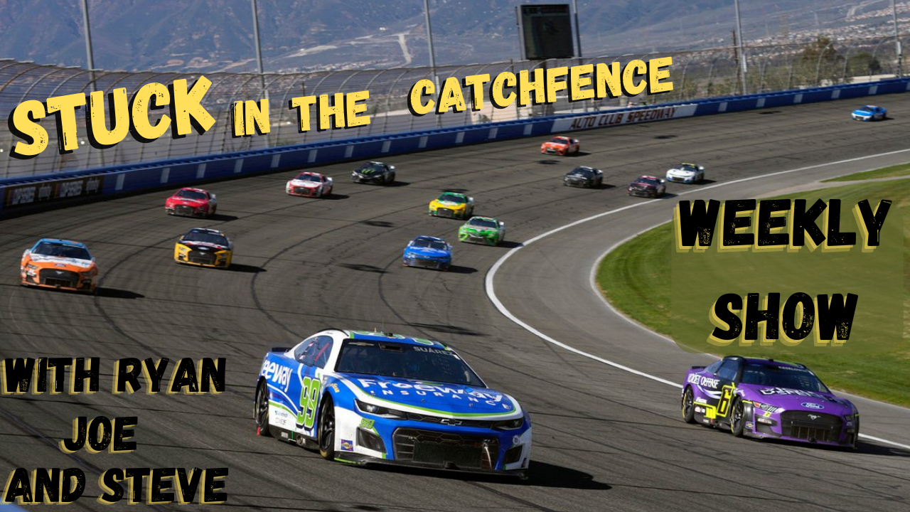 Stuck in the Catchfence