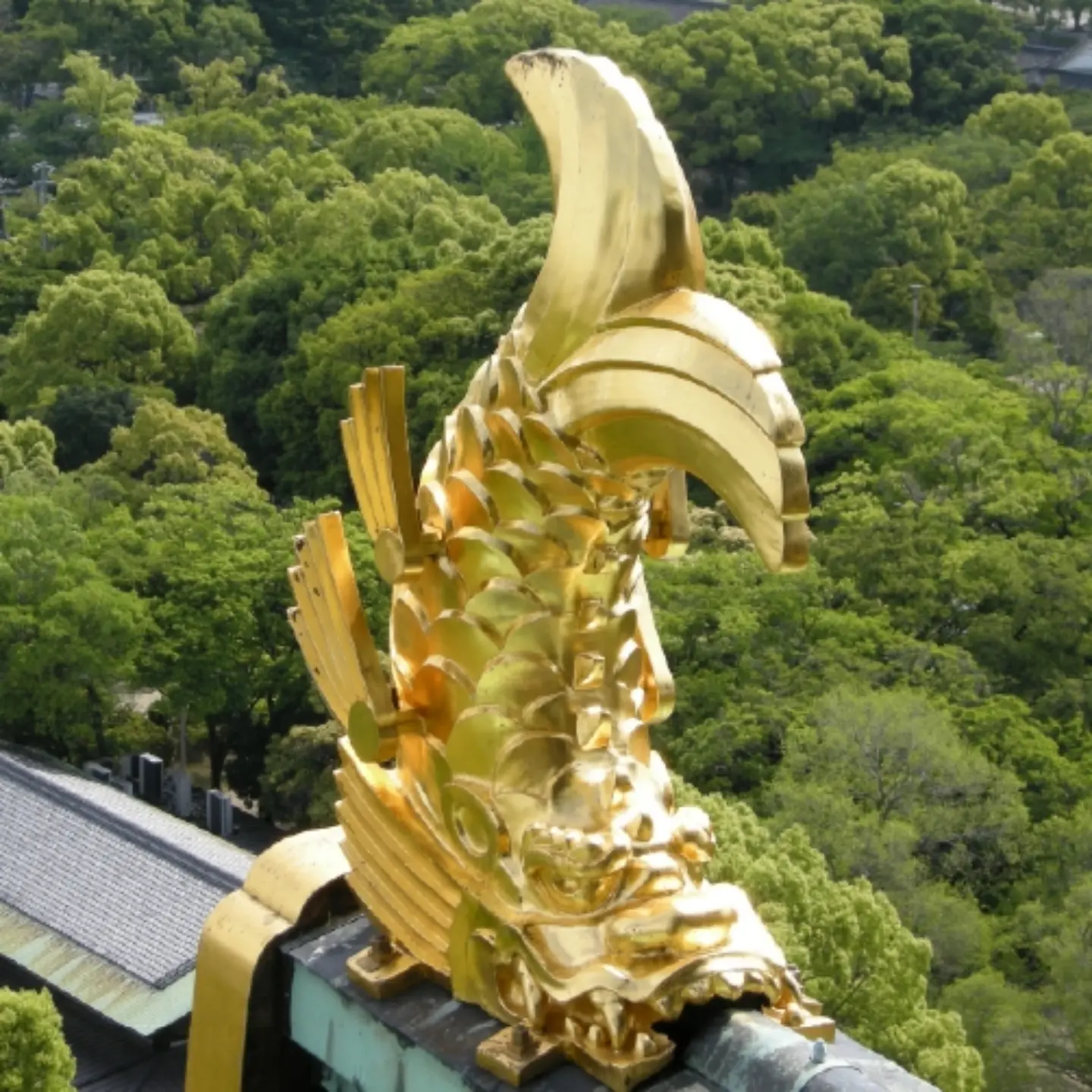 JR「京の冬の旅」で紹介されている相国寺。法堂の天井に描かれた見事な