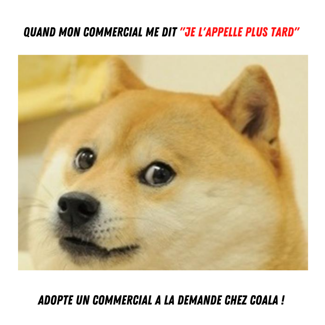 Commerciaux à la demande - 👋 Salut les DIRCO! 👿 Qu'est-ce qui vous ...