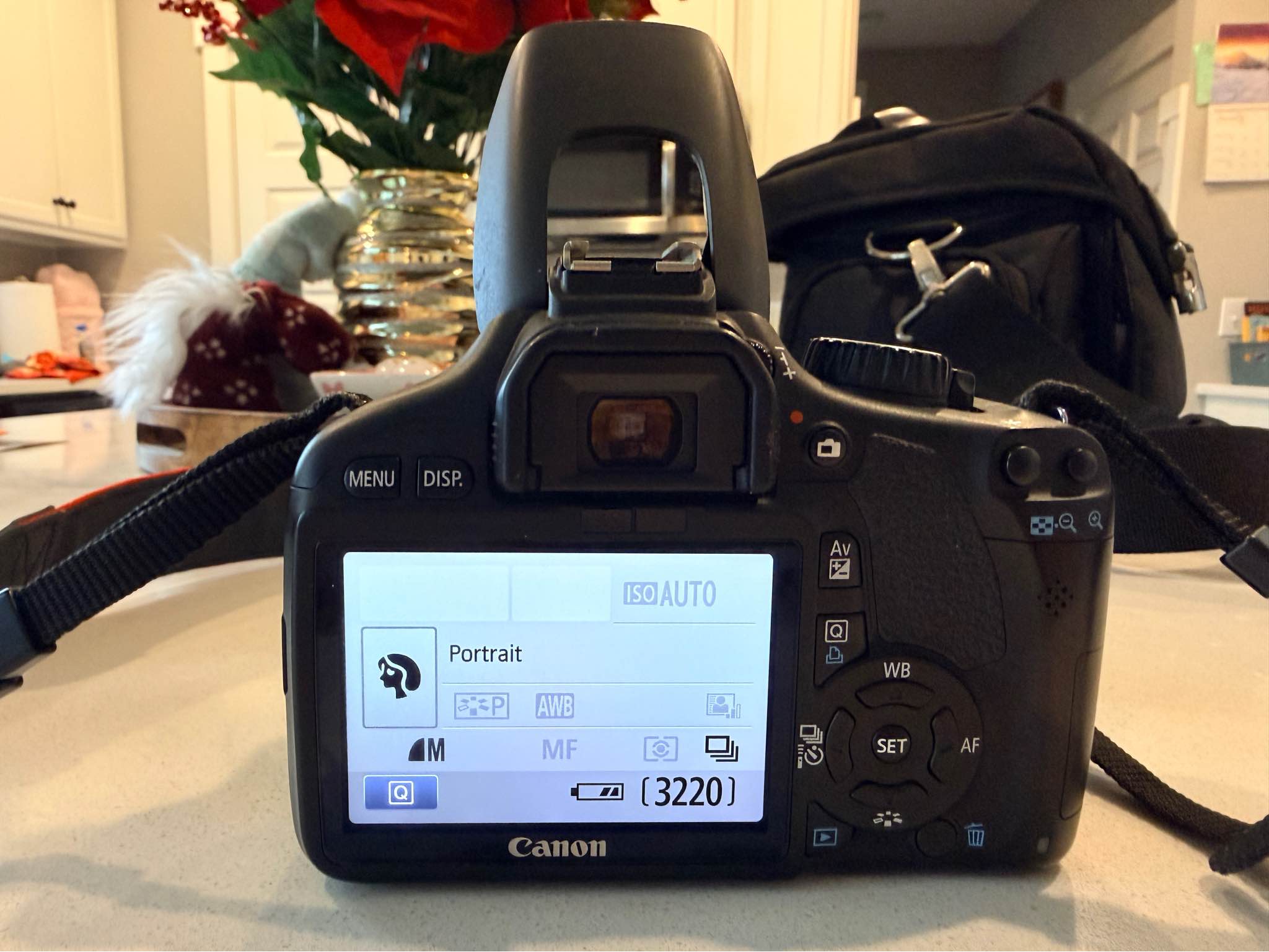 Canon 2Ti Bundle - Cameras - Hudsonville, Michigan | Facebook ...