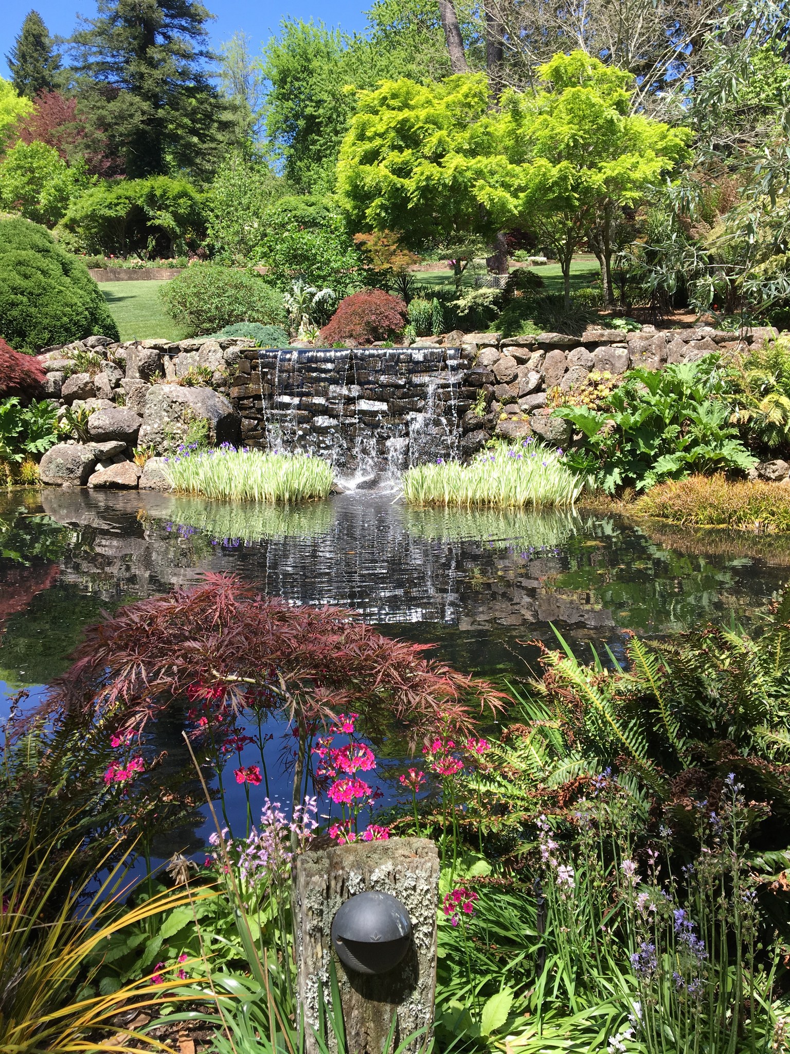 Renaissance - Windyridge Garden in Mount Wilson showcases more than two ...