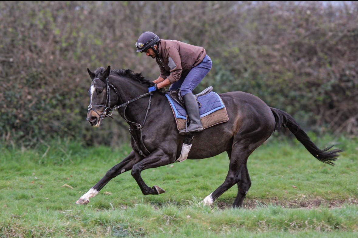 Ann Duffield Racing | Leyburn