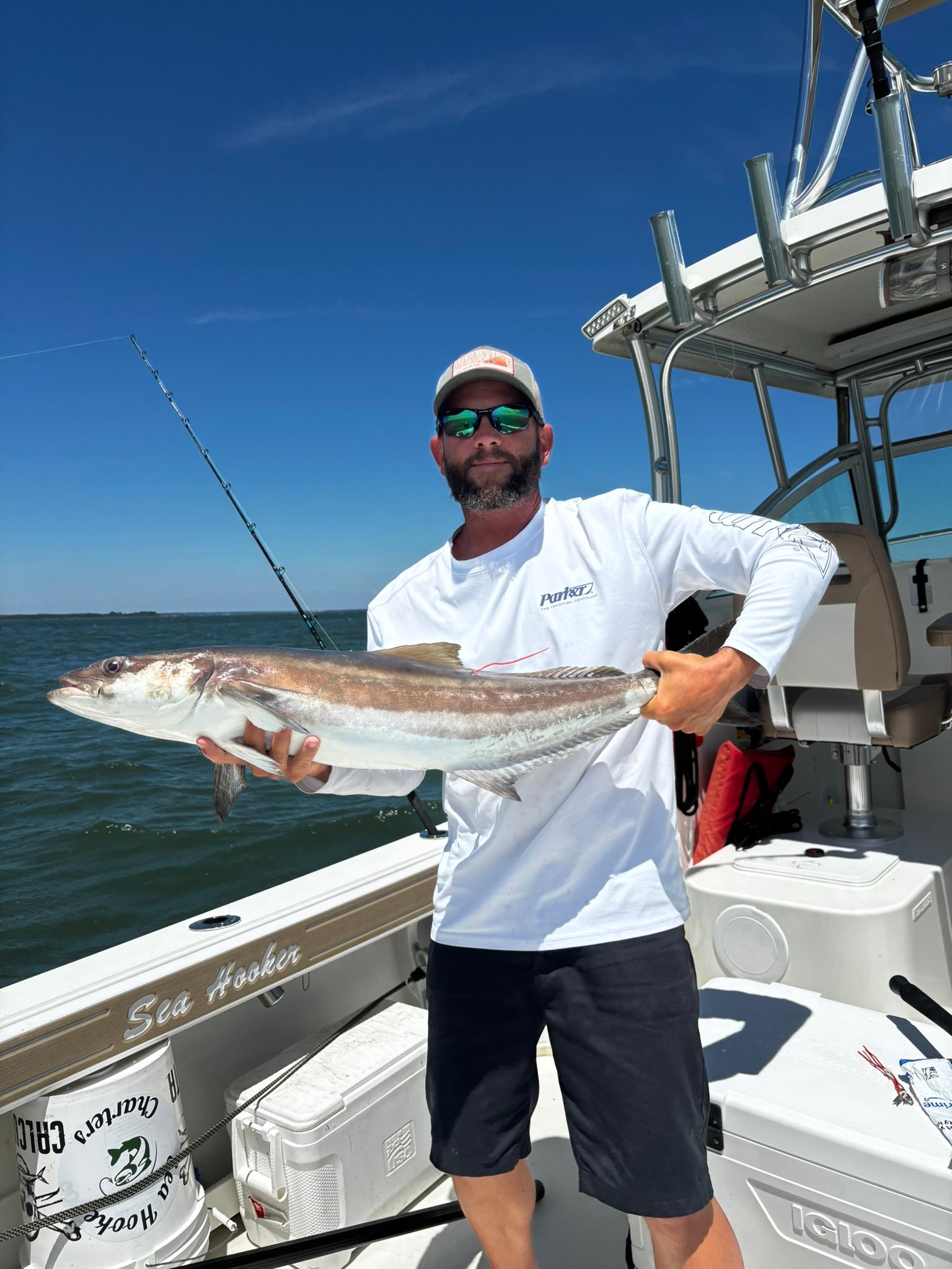 big booty fishing lure The Bait Fish this pattern deep SXJ G2 Model:FTH40NLDHS RAM ROD® Fishing Rod