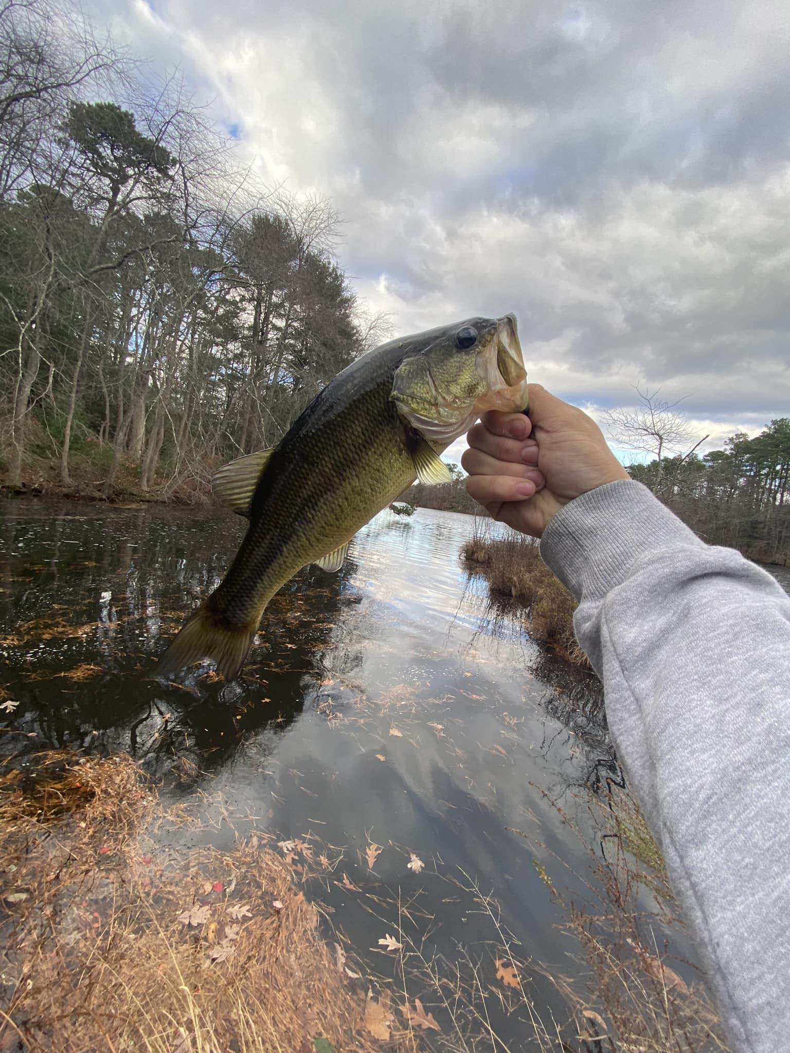 Alex Stiles (@alex.stiles.546793) • Facebook, Connect with friends