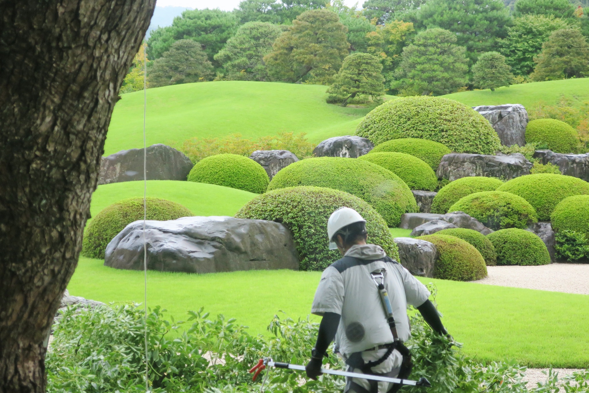 足立美術館 Adachi Museum of Art - 足立美術館 Adachi Museum of Art