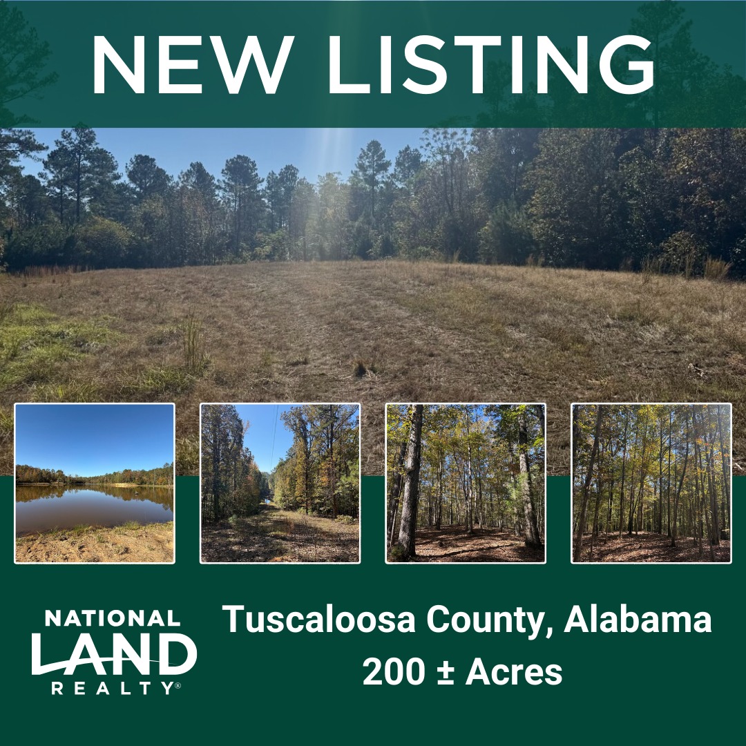 Alabama - 🌲 New Listing – Tuscaloosa County Recreational Tract! 🎣 Just ...