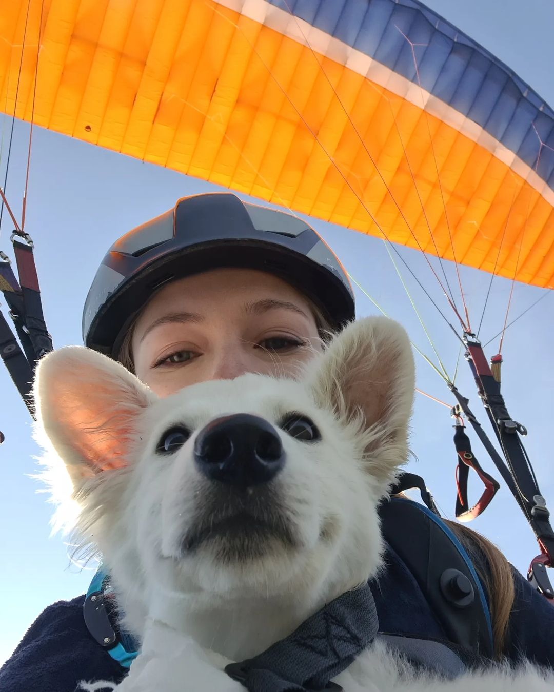 GoPro Fansclub - — [REPOST] — 飛天「狗」Pro大冒險🐶... | Facebook
