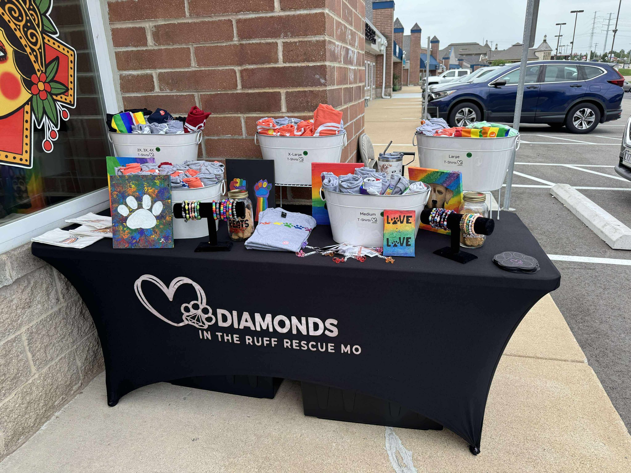 Diamonds in the Ruff... - Diamonds in the Ruff Rescue MO