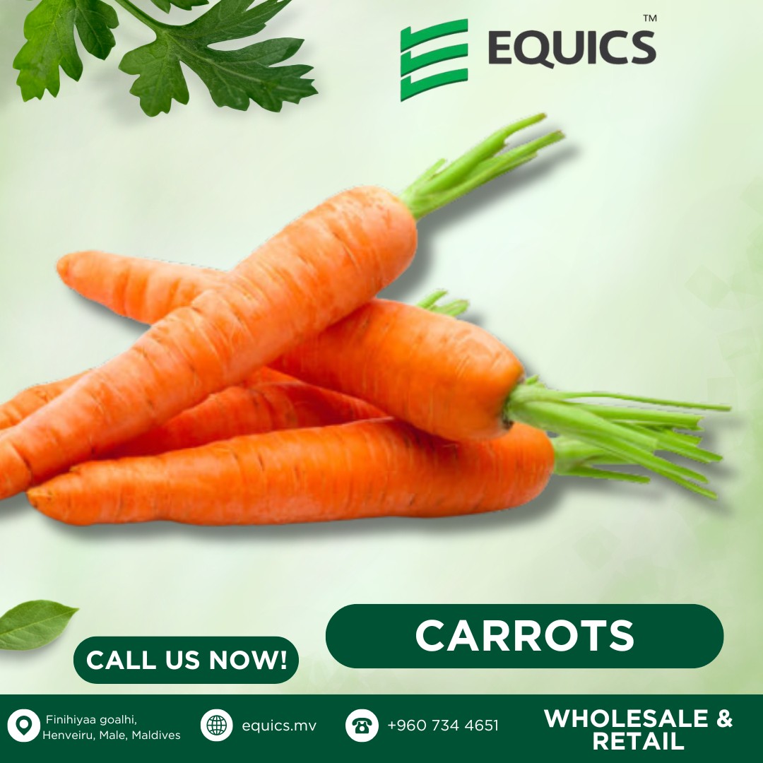 Equics Pvt Ltd | Male