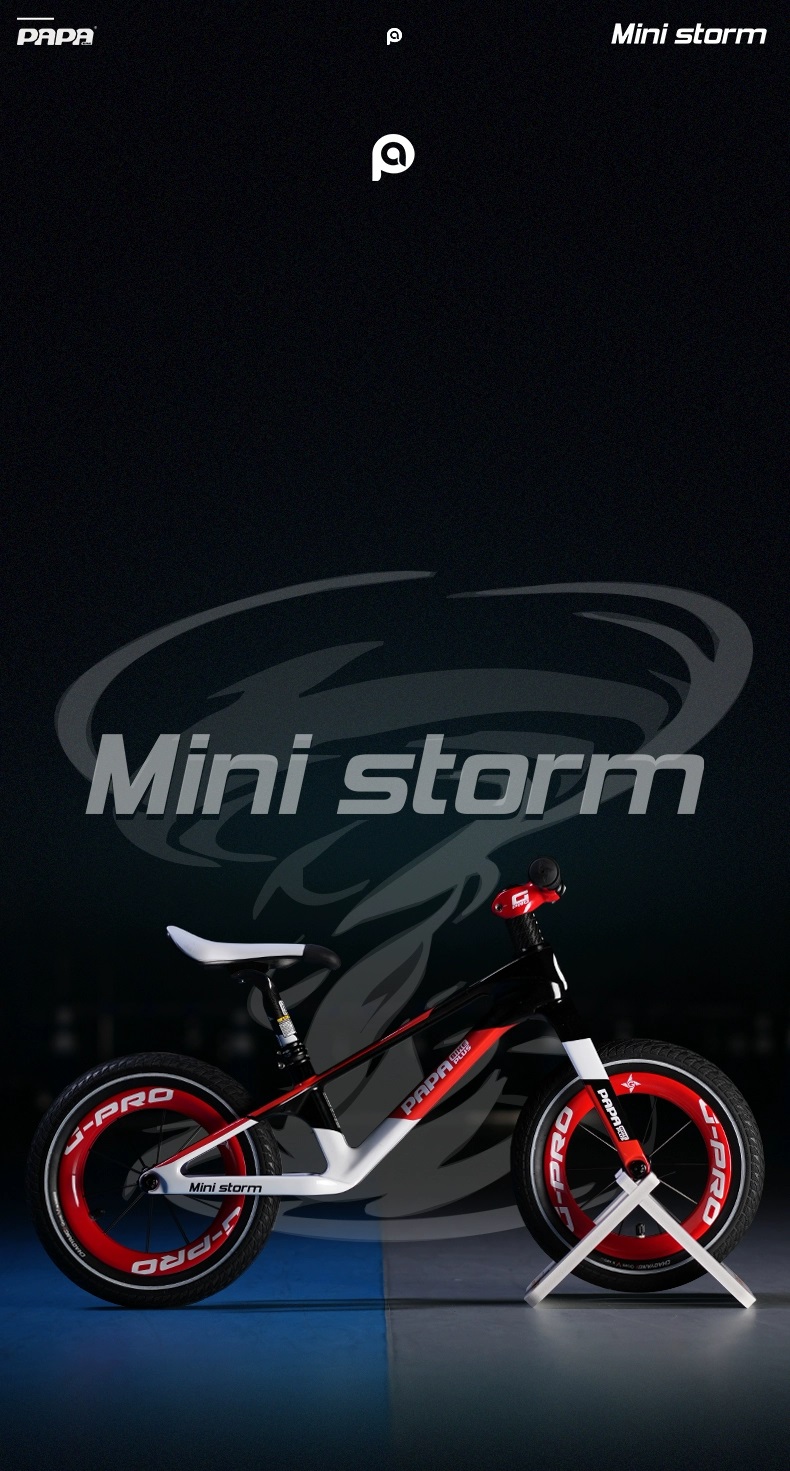 PAPA BIKE MINI STORM +DATI XU コンプリートモデル PAPA BIKE | Foshan