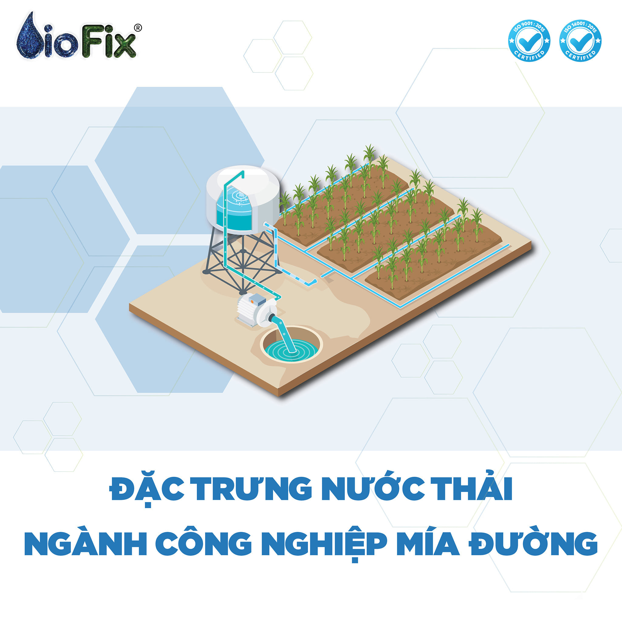 BioFix VN - TÍNH CHẤT NƯỚC THẢI MÍA ĐƯỜNG Trung bình có... | Facebook
