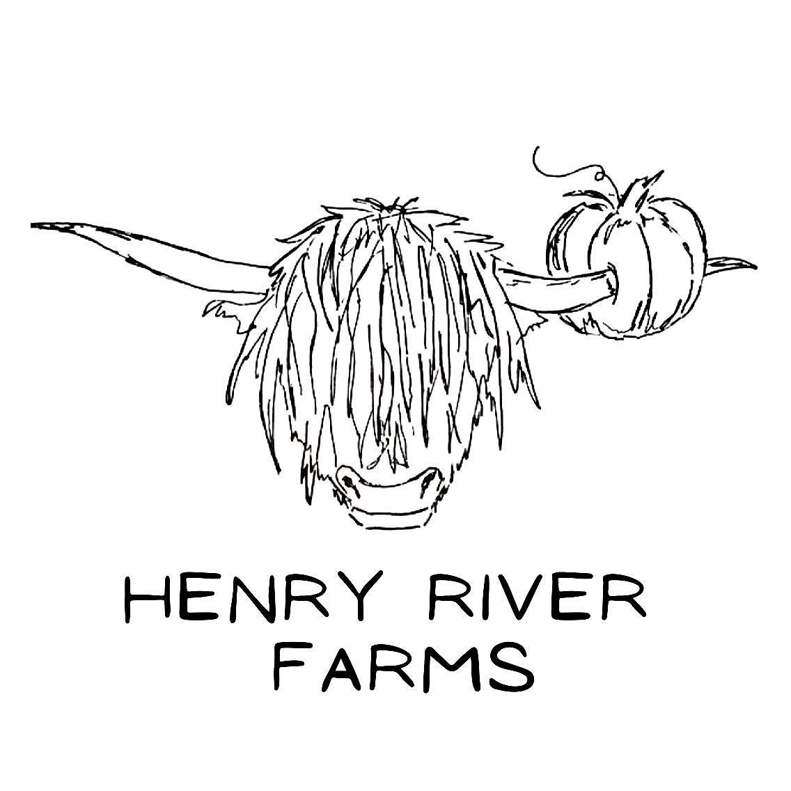 Fall days at Henry River Farms 🎃 Pick a pumpkin, run through the ...