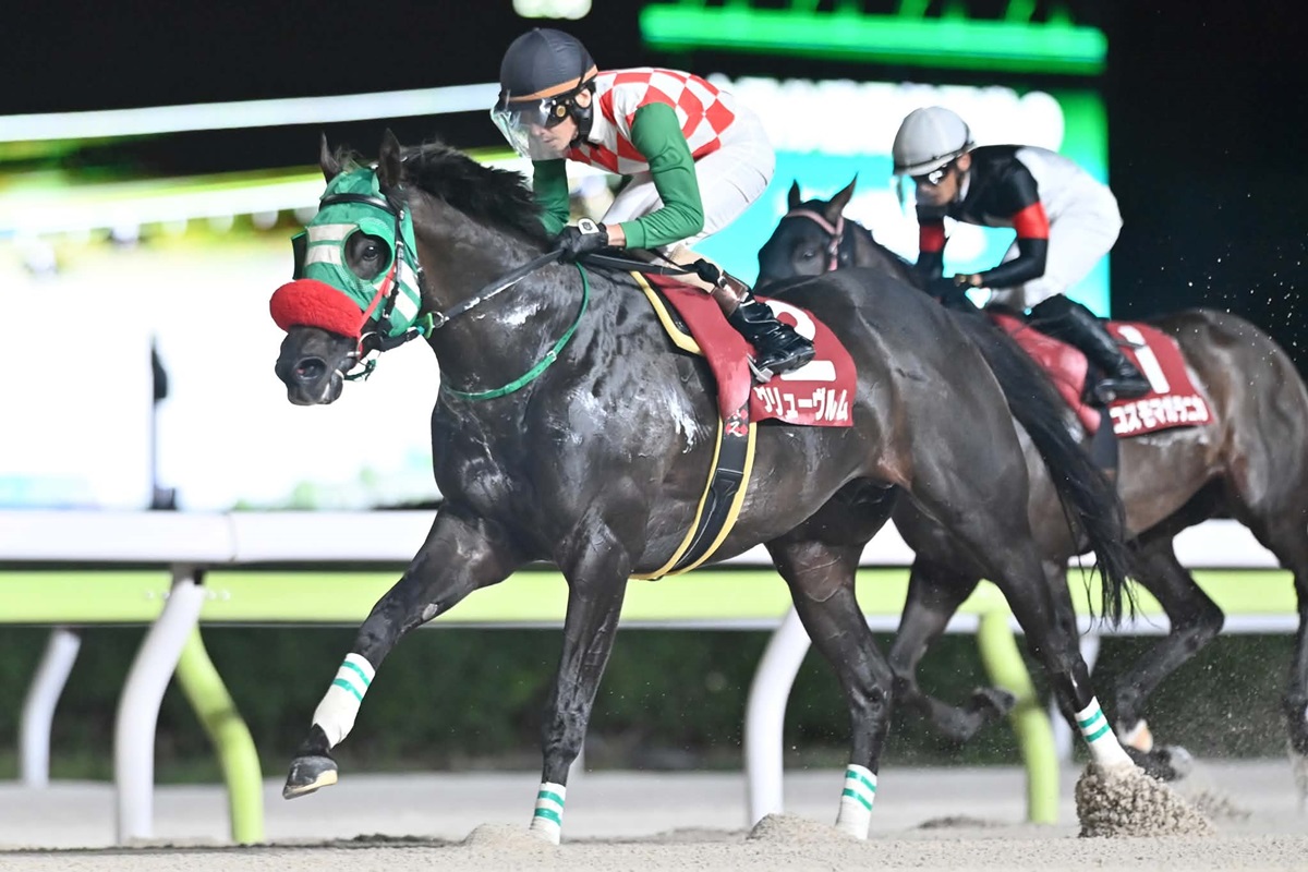 川崎記念当日の川崎競馬場 10レースには「よいとまけとコラボしました