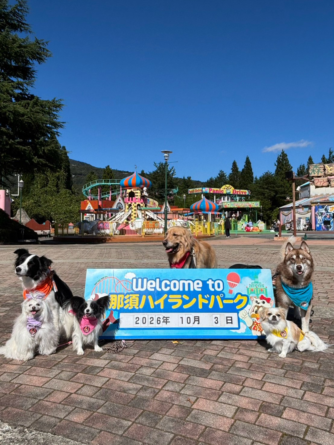 ぐるり森の景品がリニューアル✨⠀】 那須ハイランドパークのぐるり森