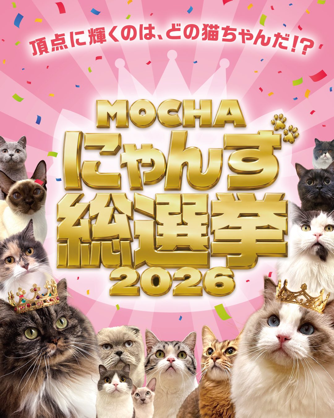 CAT CAFE MOCHA (@catcafemocha) • Facebook