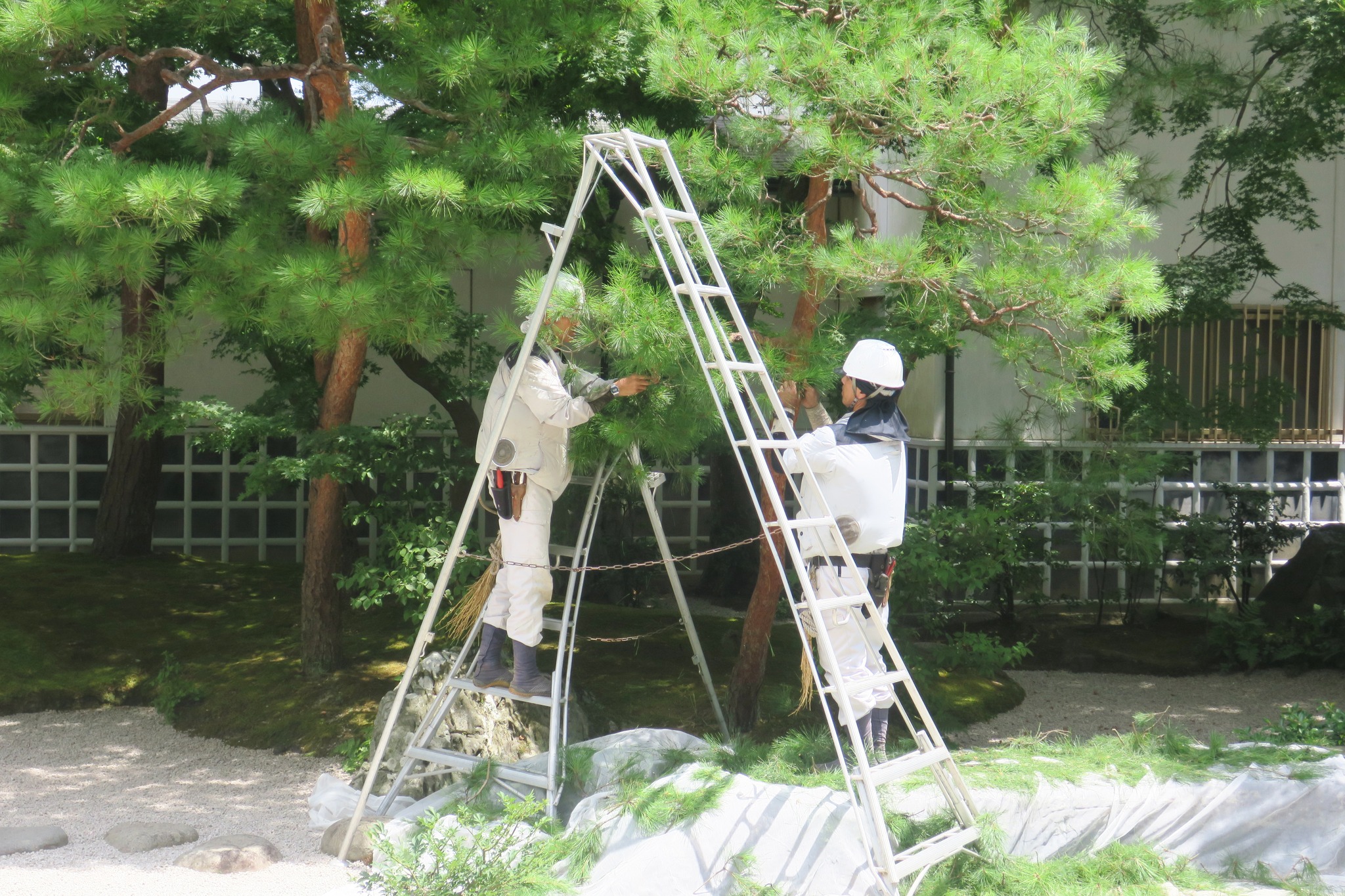 足立美術館 Adachi Museum of Art - 足立美術館 Adachi Museum of Art