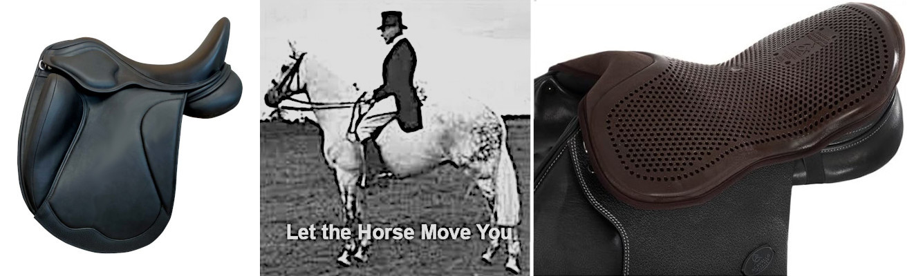 Let the horse move you