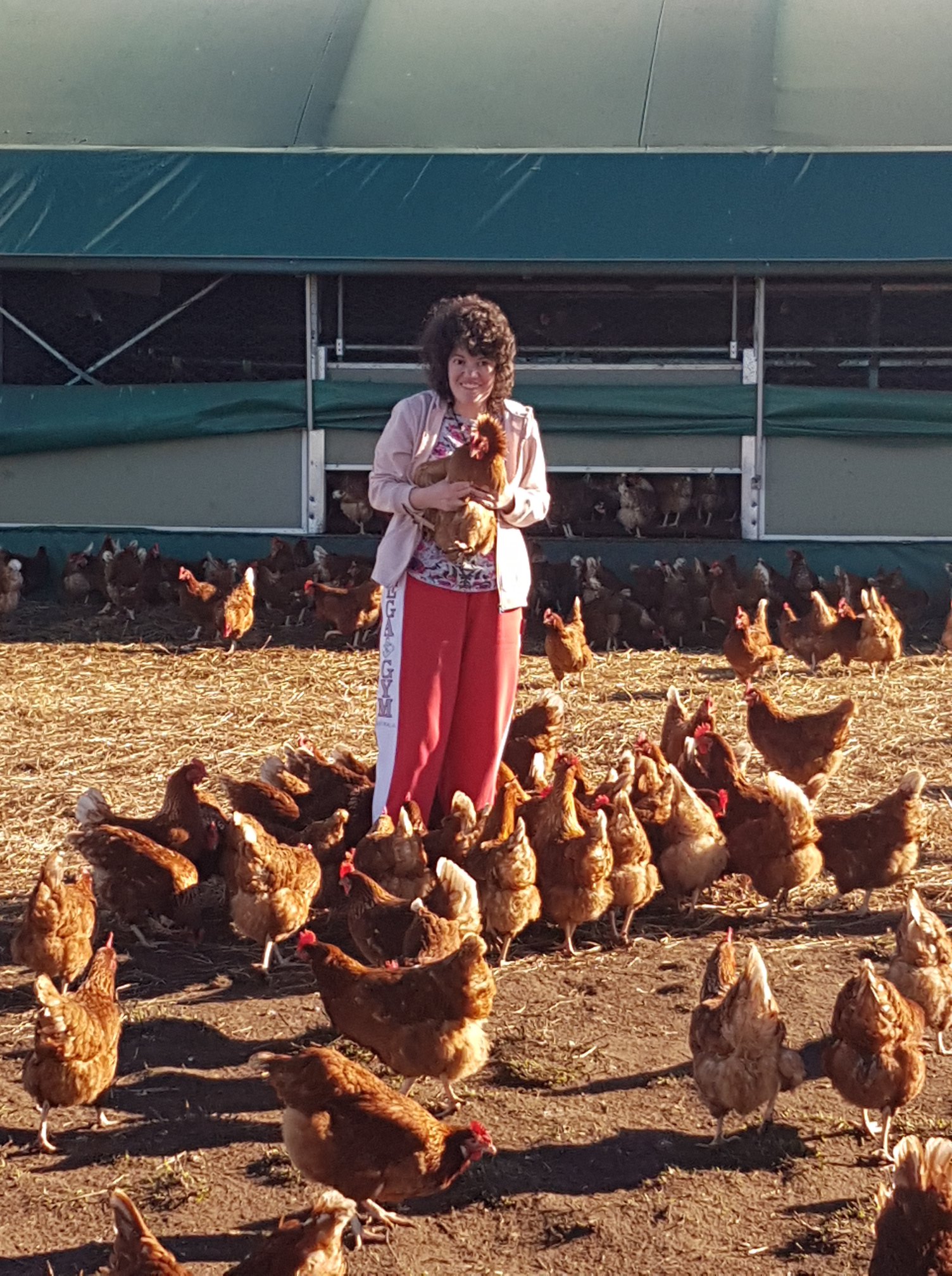 The Animal Planet group recently had... - Distinctive Options